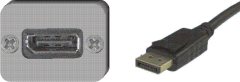 DisplayPort-Buchse / DisplayPort-Stecker