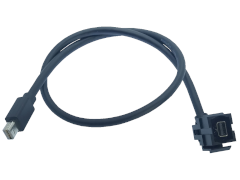 Mini DisplayPort Einbaubuchse