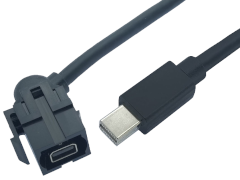 Mini DisplayPort Einbaubuchse